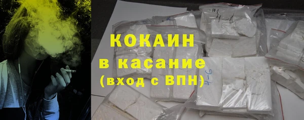 прущий лед Алзамай