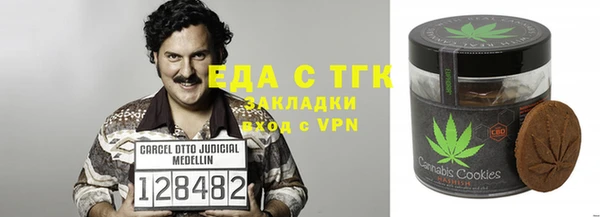прущий лед Алзамай