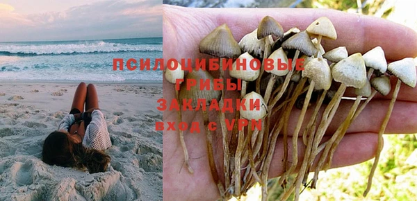 прущий лед Алзамай