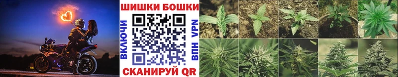 Каннабис планчик  shop Telegram  Обнинск 